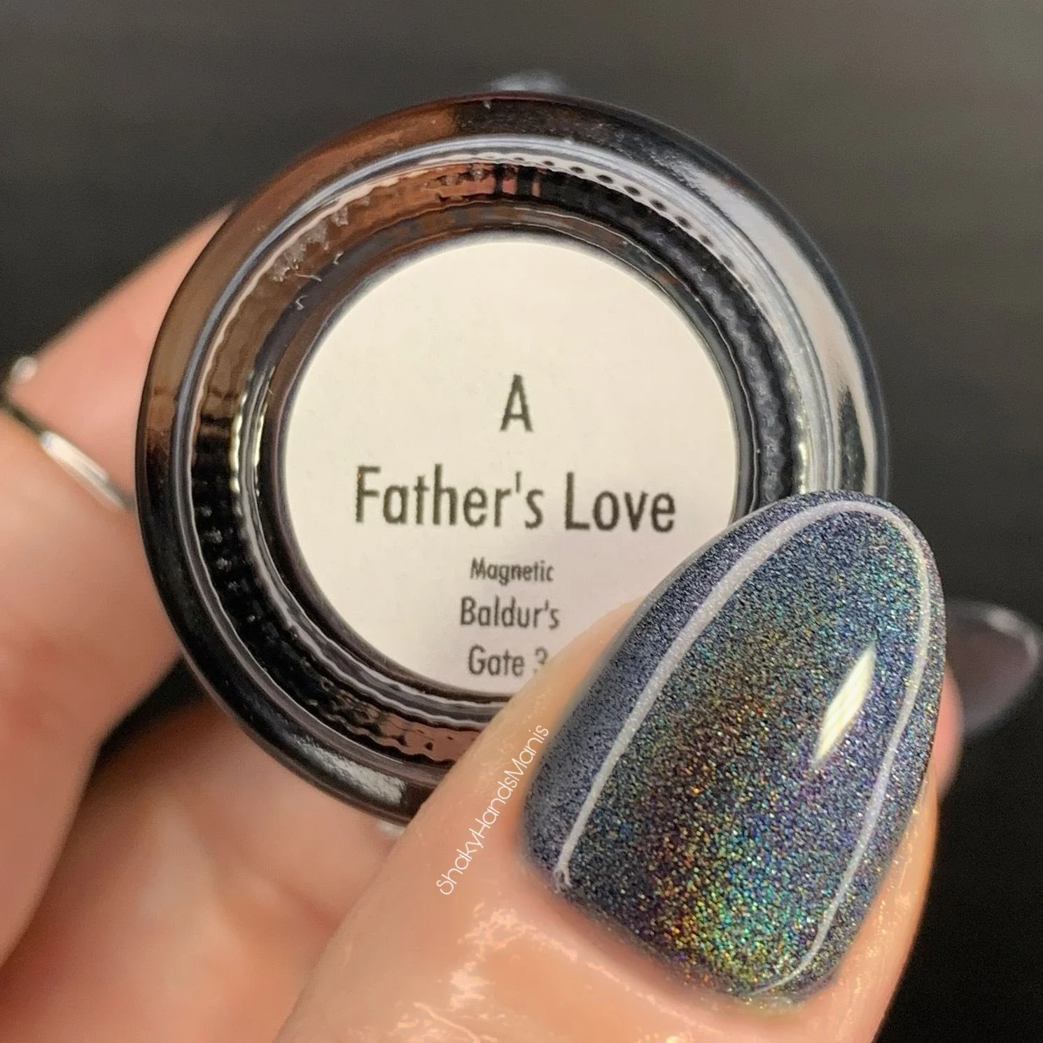 A Father's Love - Image 8