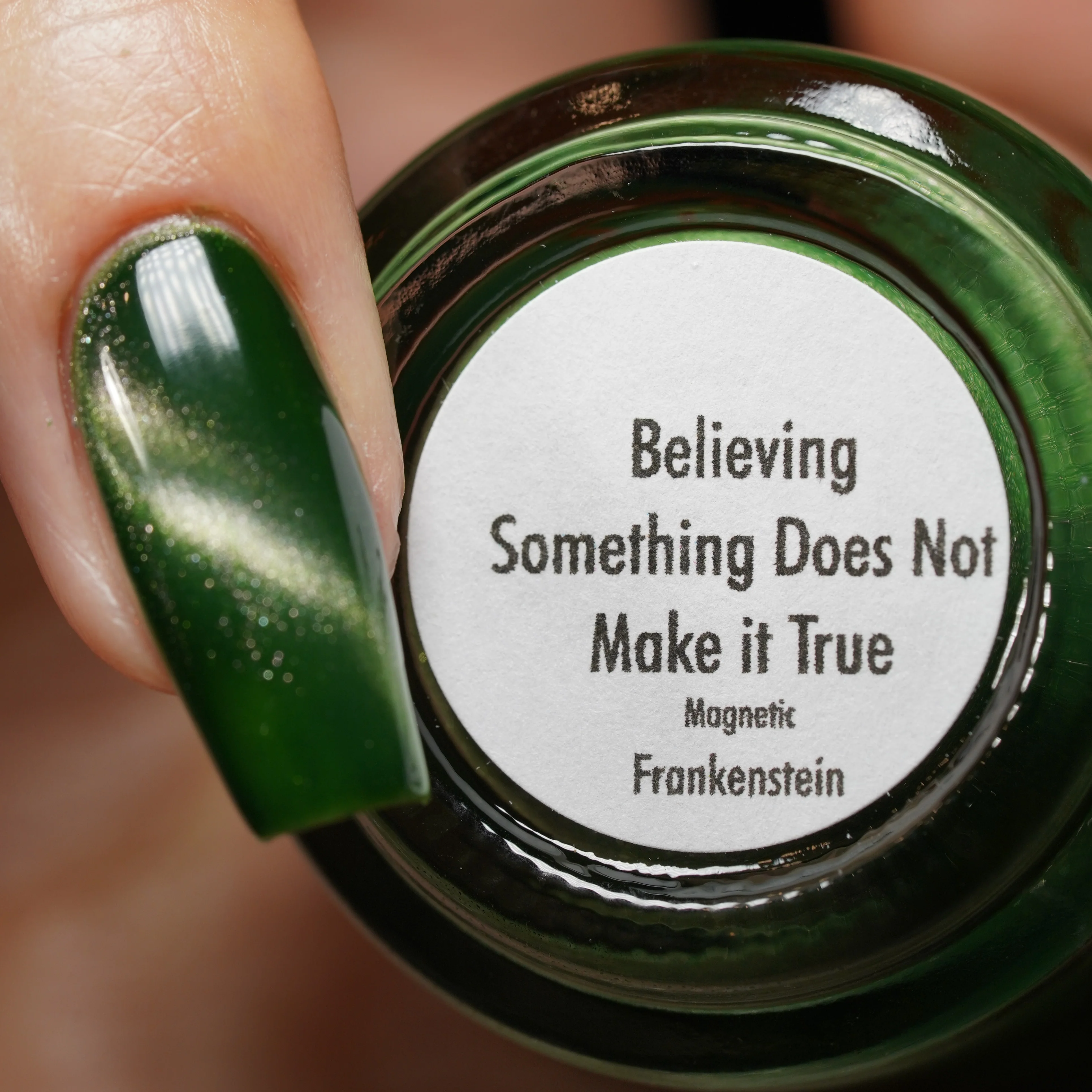 Believing Something does not Make it True - Image 7