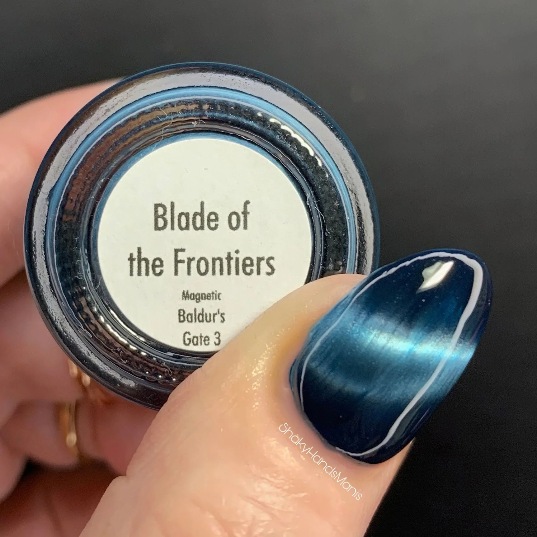 Blade of the Frontiers - Image 29
