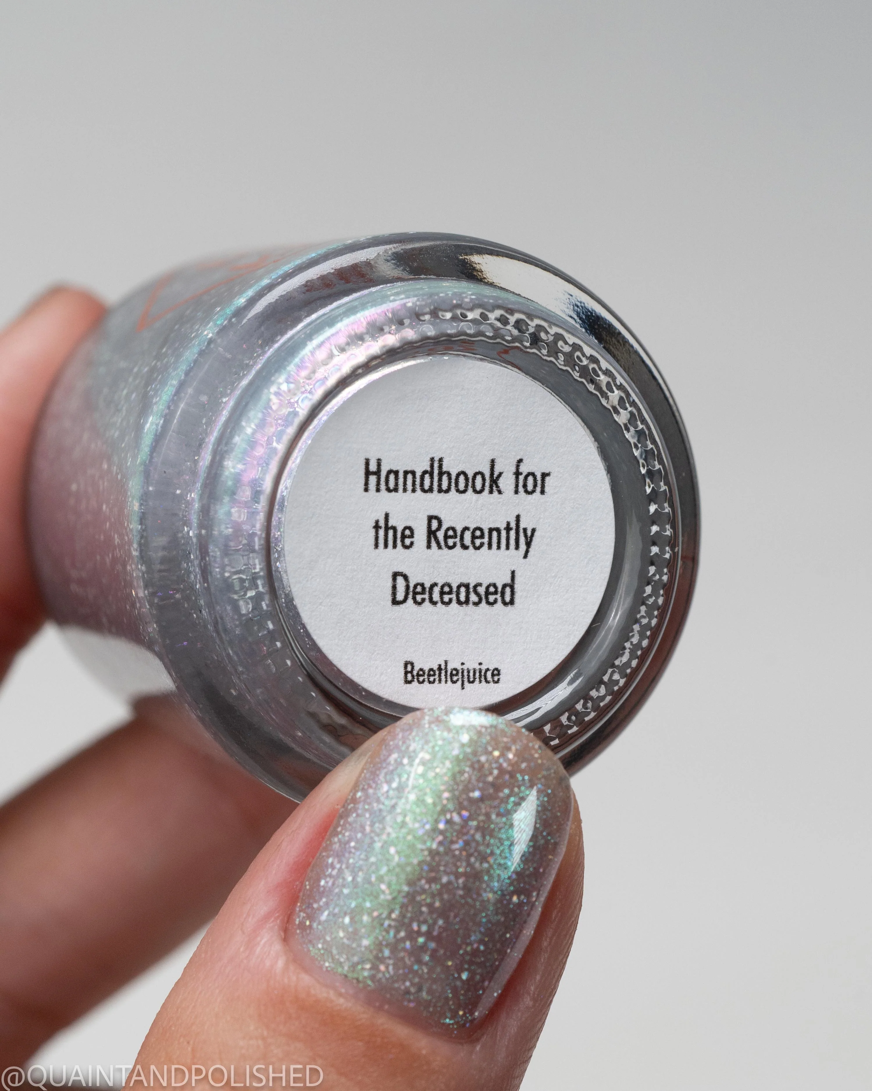 Handbook for the Recently Deceased - Image 8