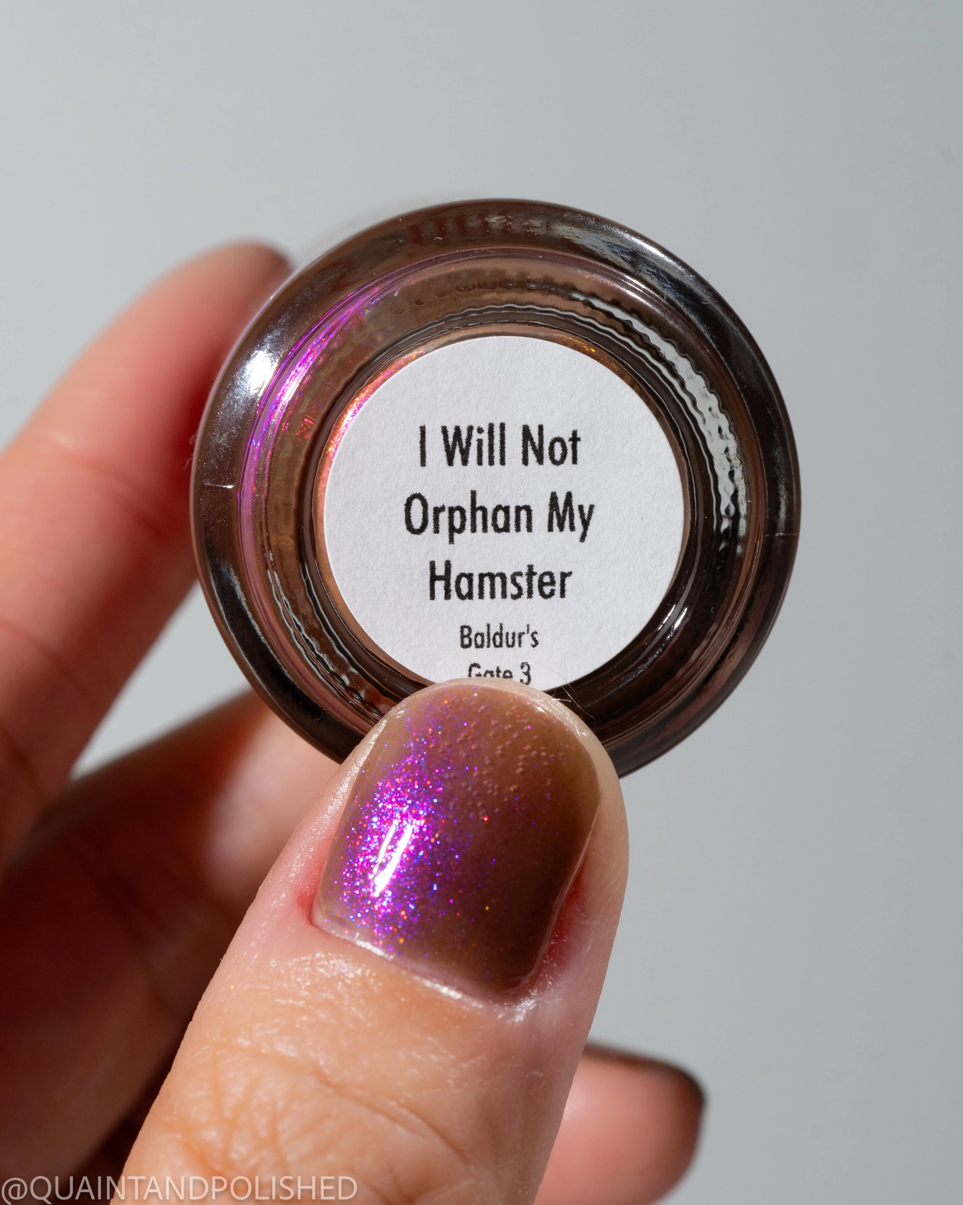 I Will Not Orphan my Hamster - Image 20