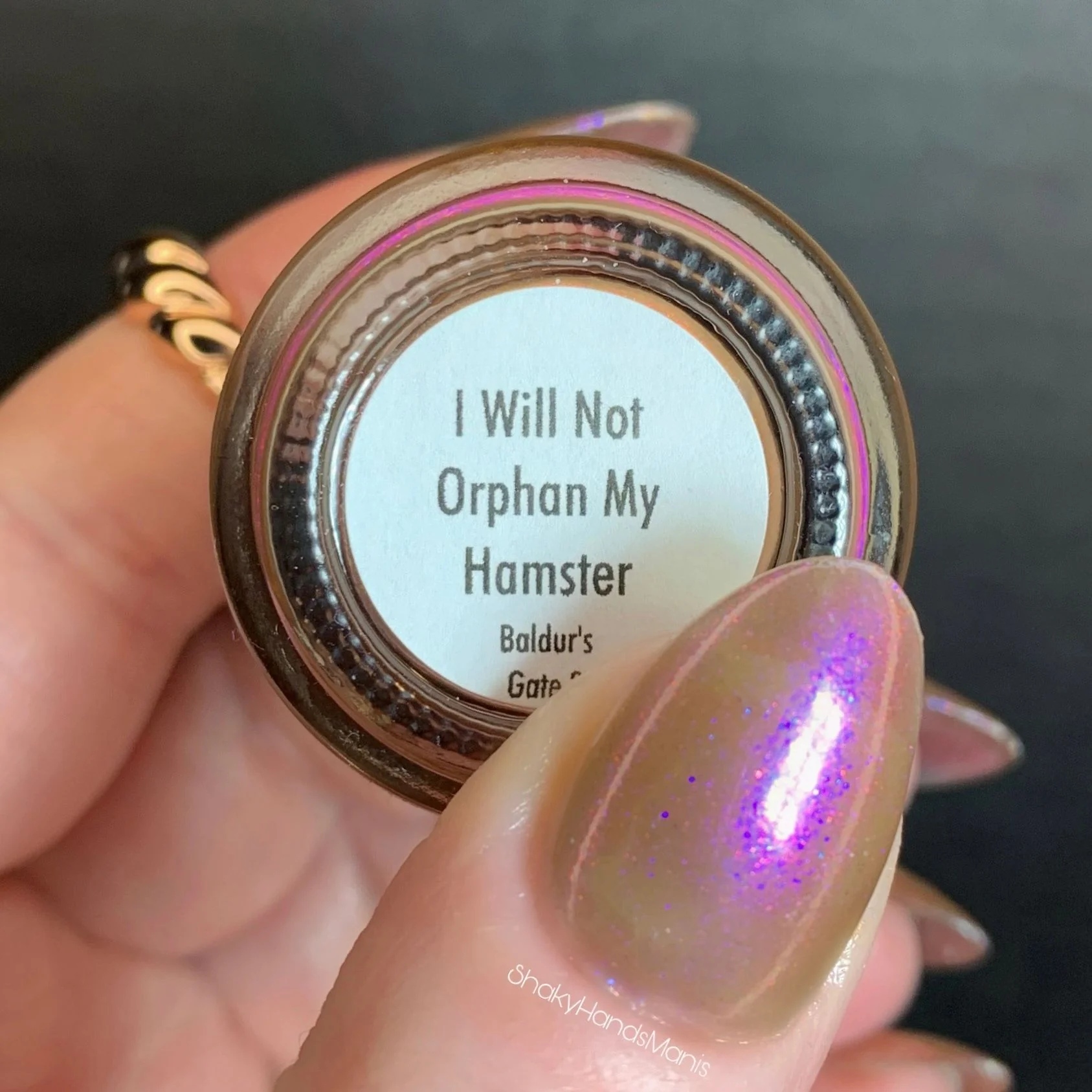 I Will Not Orphan my Hamster - Image 28