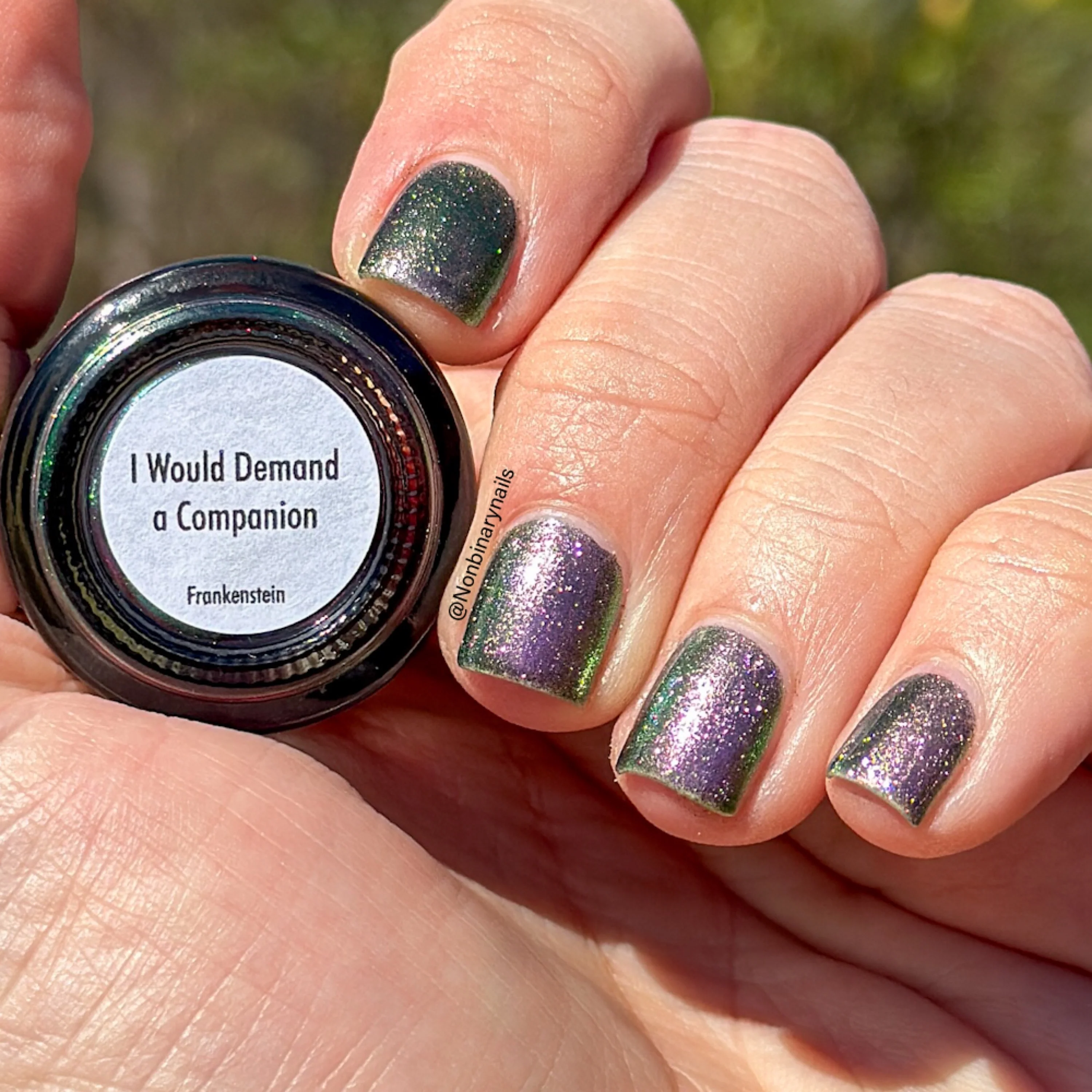 I Would Demand a Companion - Image 11