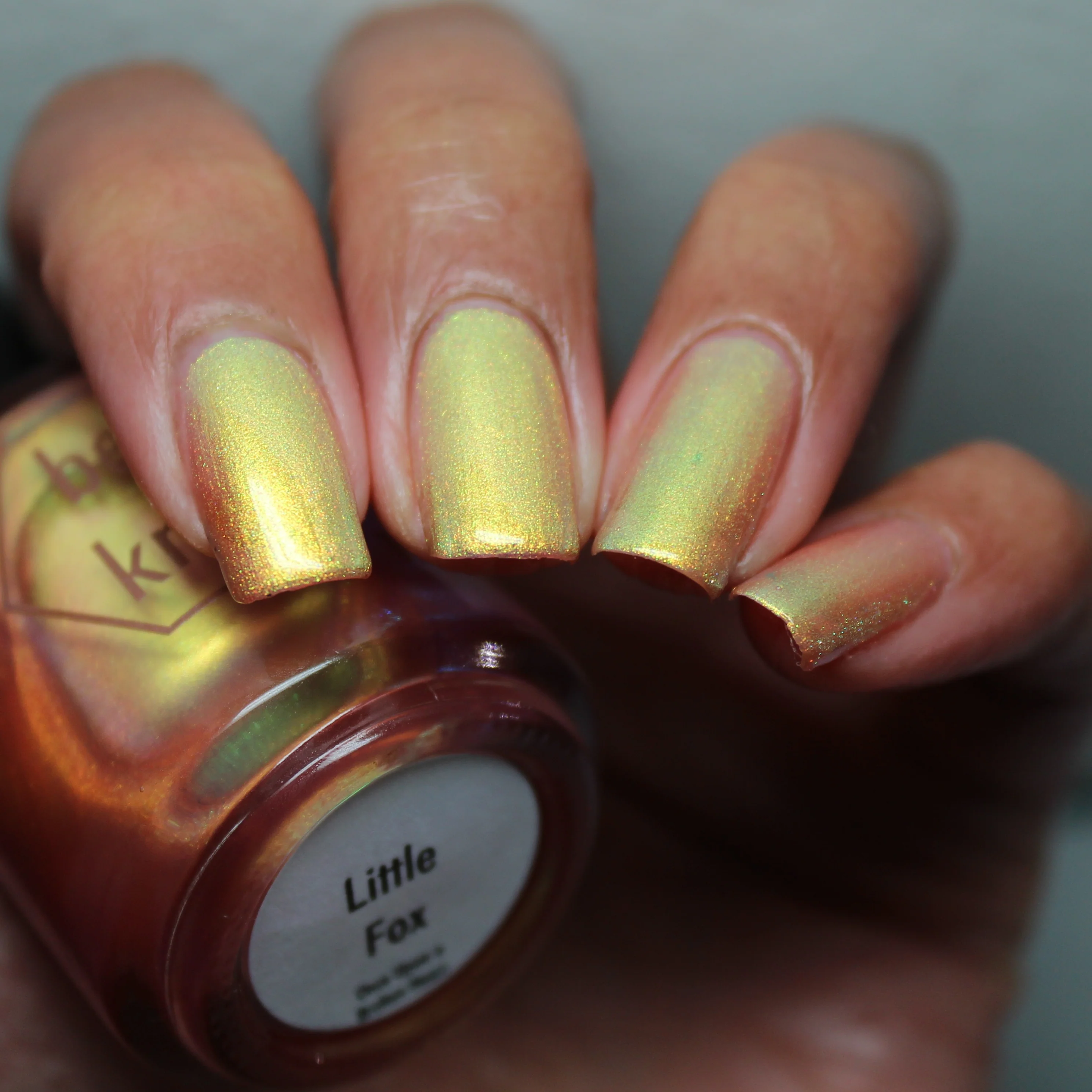 Little Fox - Image 40