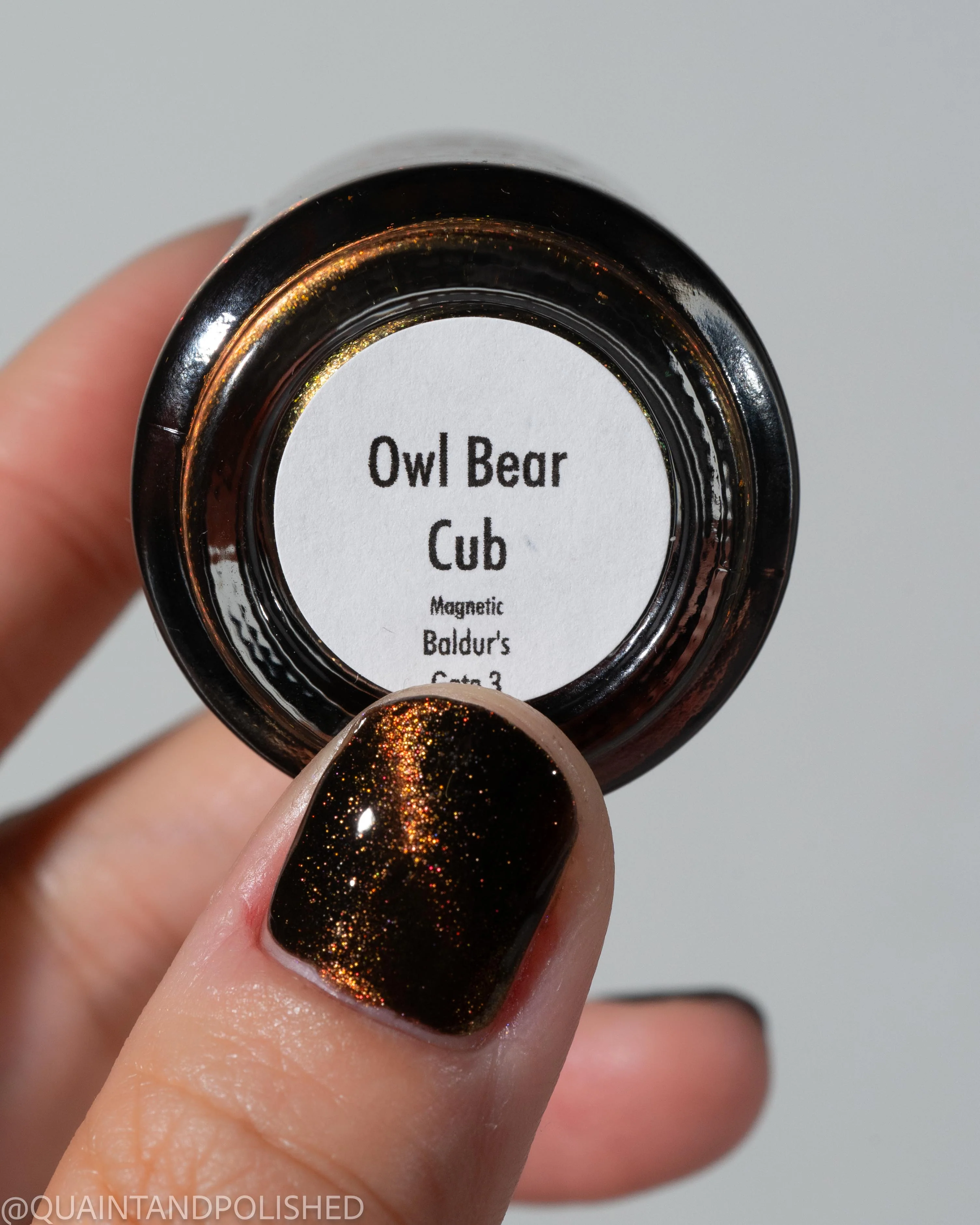 Owl Bear Cub - Image 7