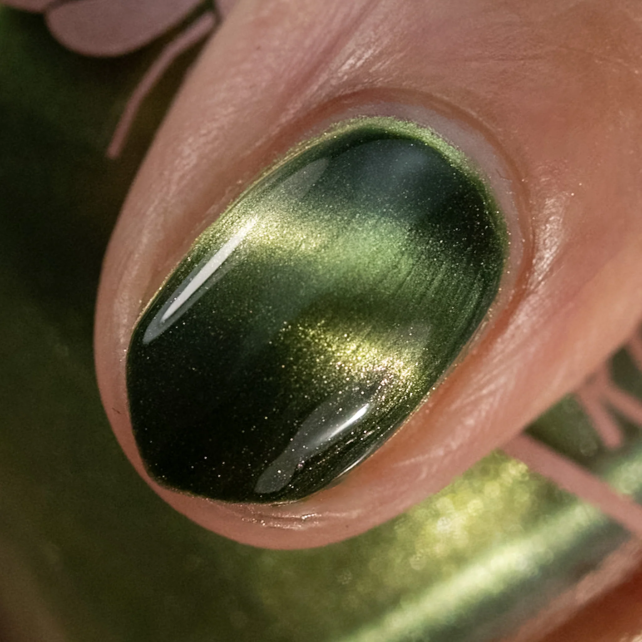 Scales and Scutes - Image 21