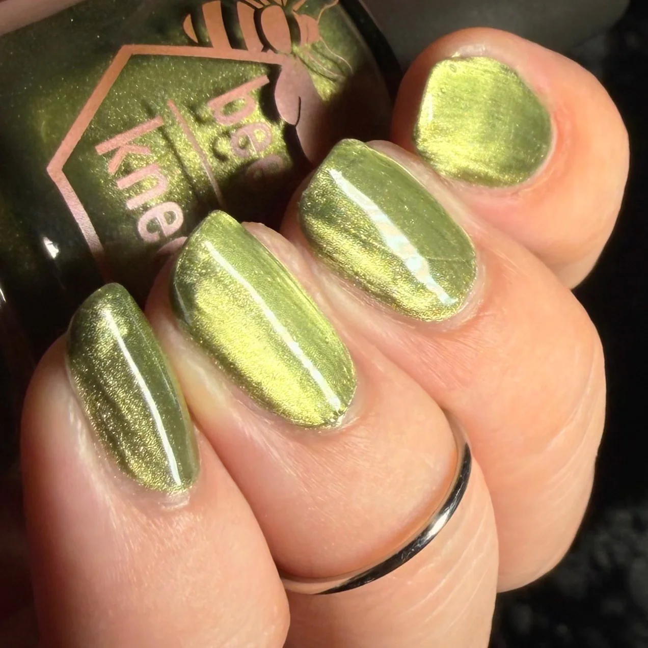 Scales and Scutes - Image 36