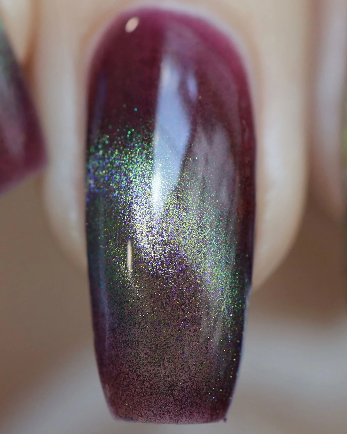 Shadows and Sunlight - Image 17