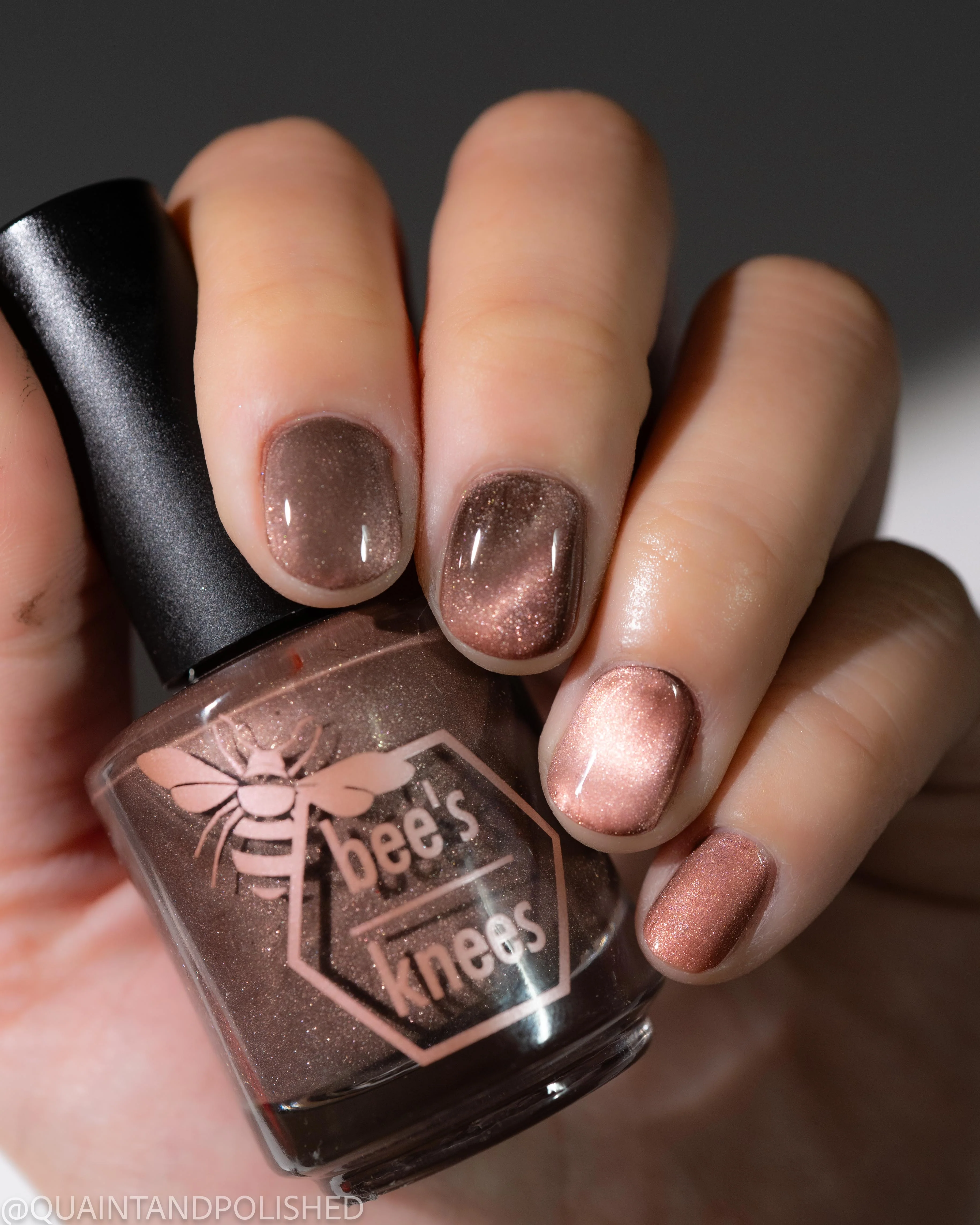 She is Gone and I Long to Follow - Image 19