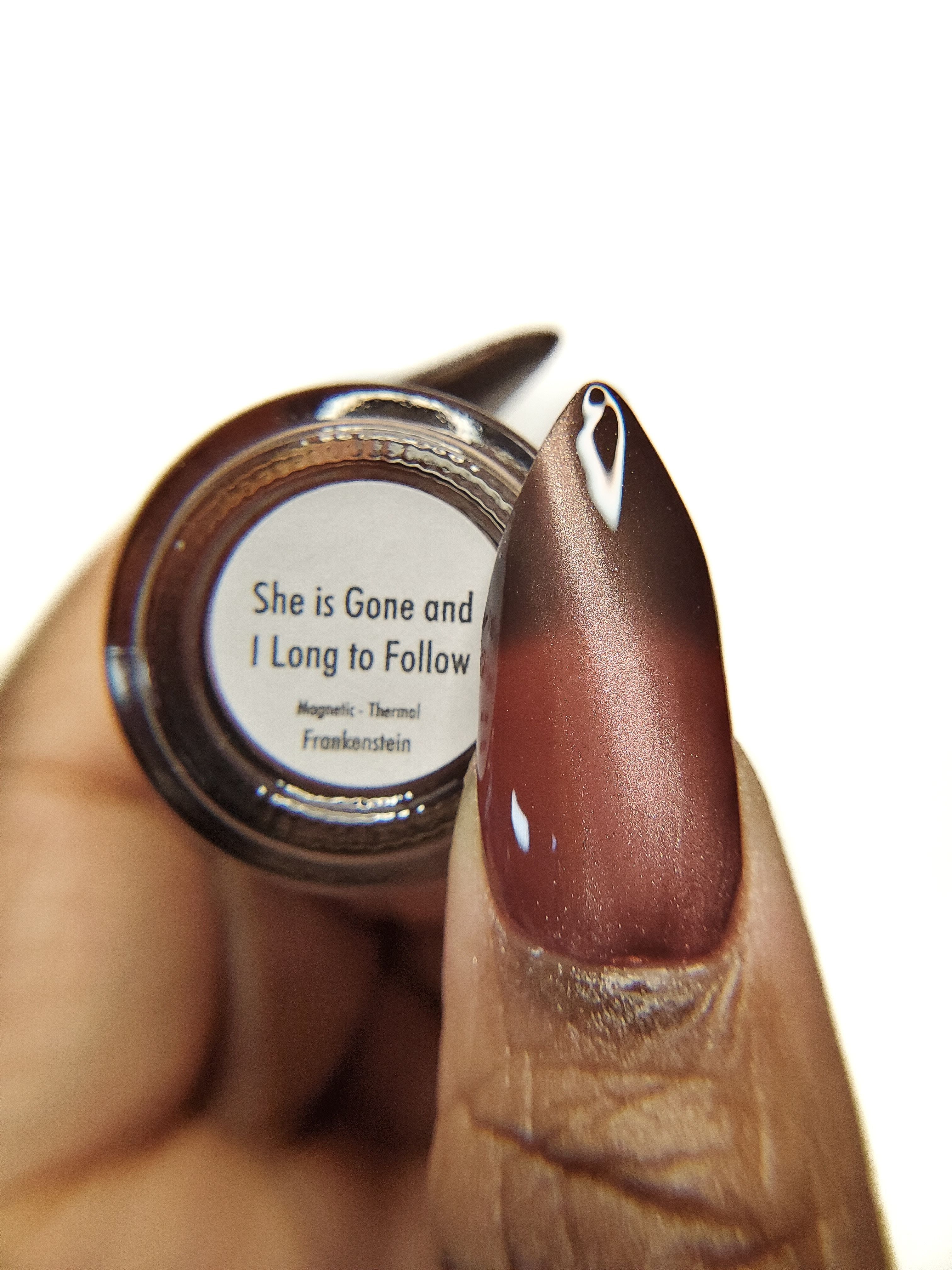 She is Gone and I Long to Follow - Image 23