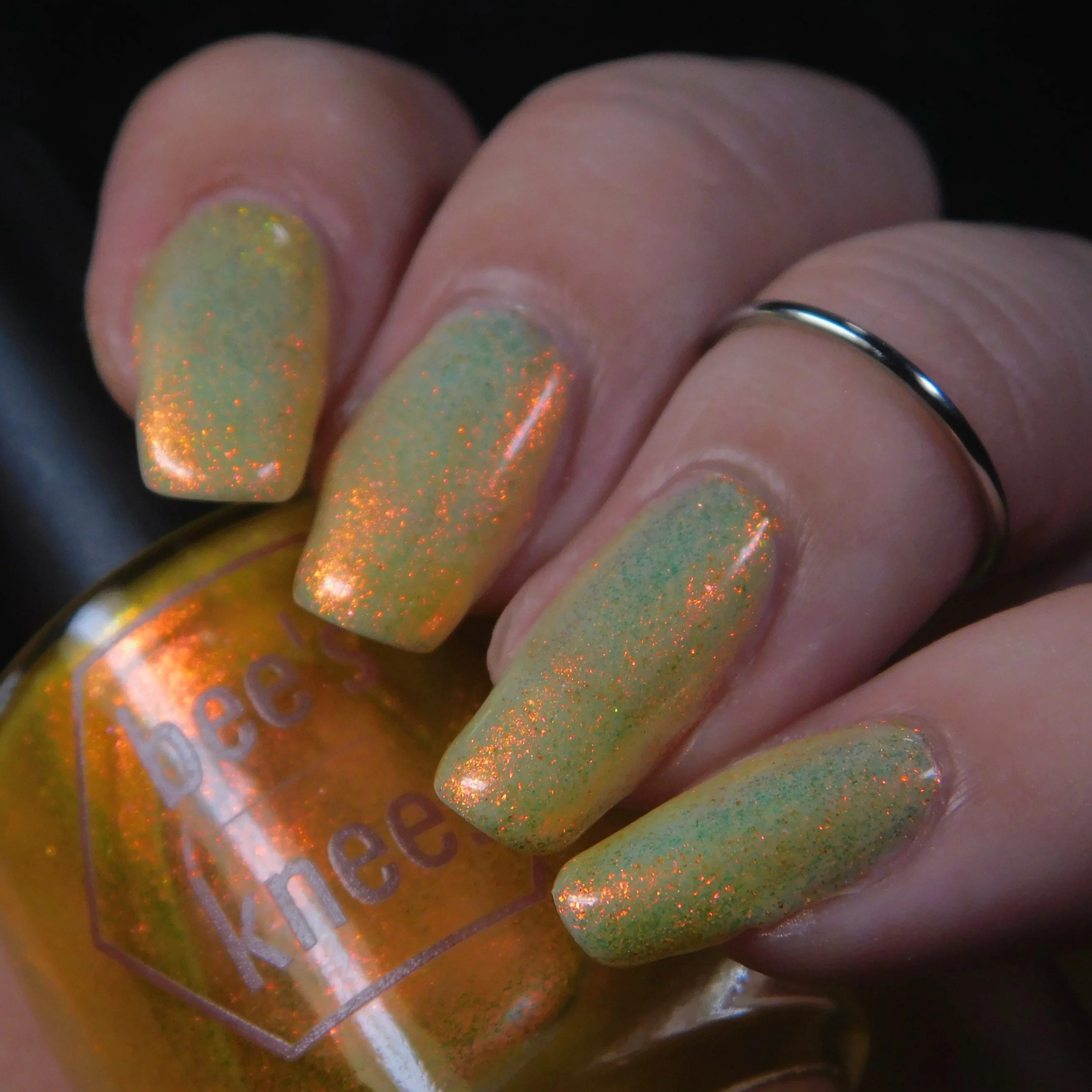 Sunbird - Image 19