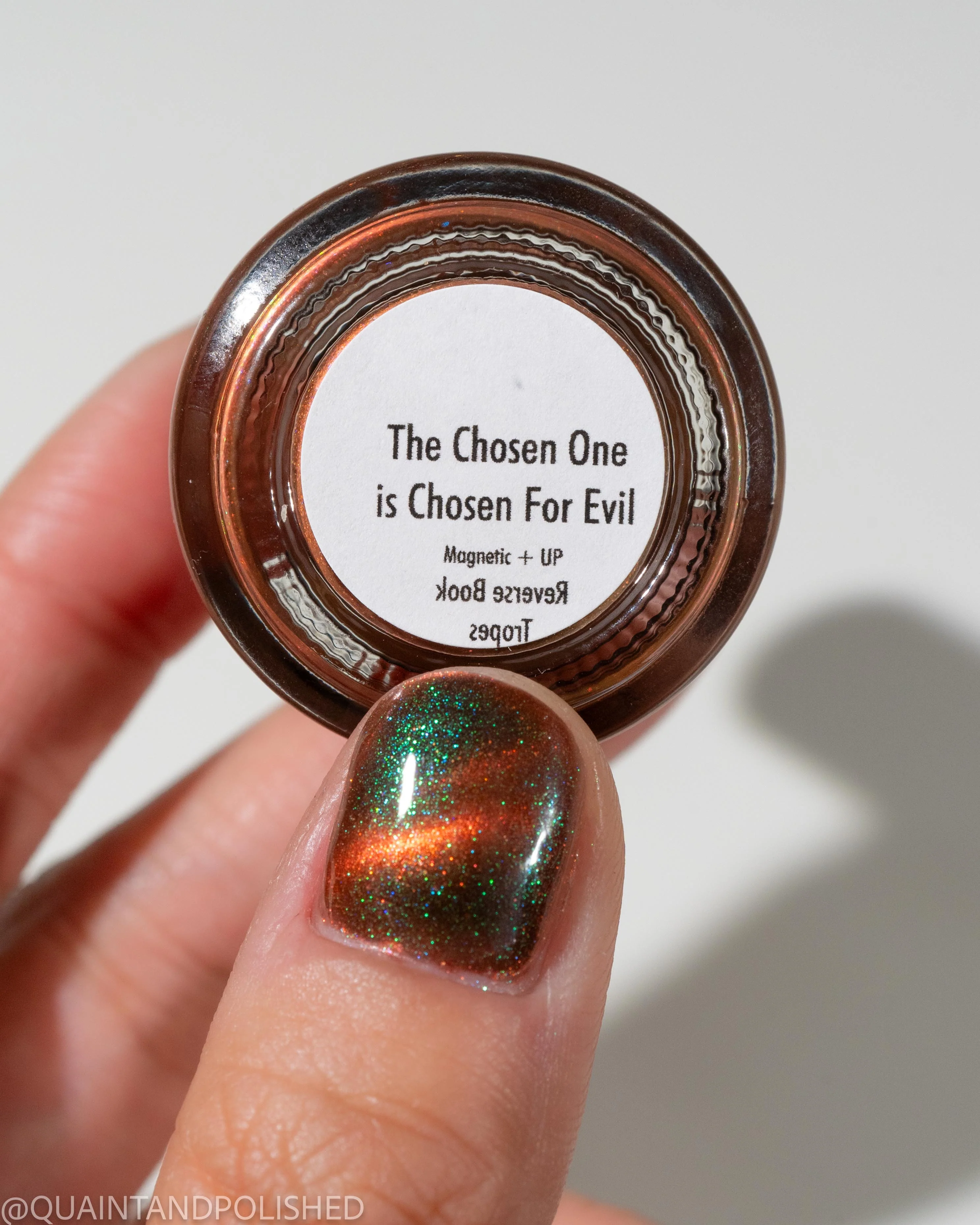 The Chosen One is Chosen for Evil - Image 8