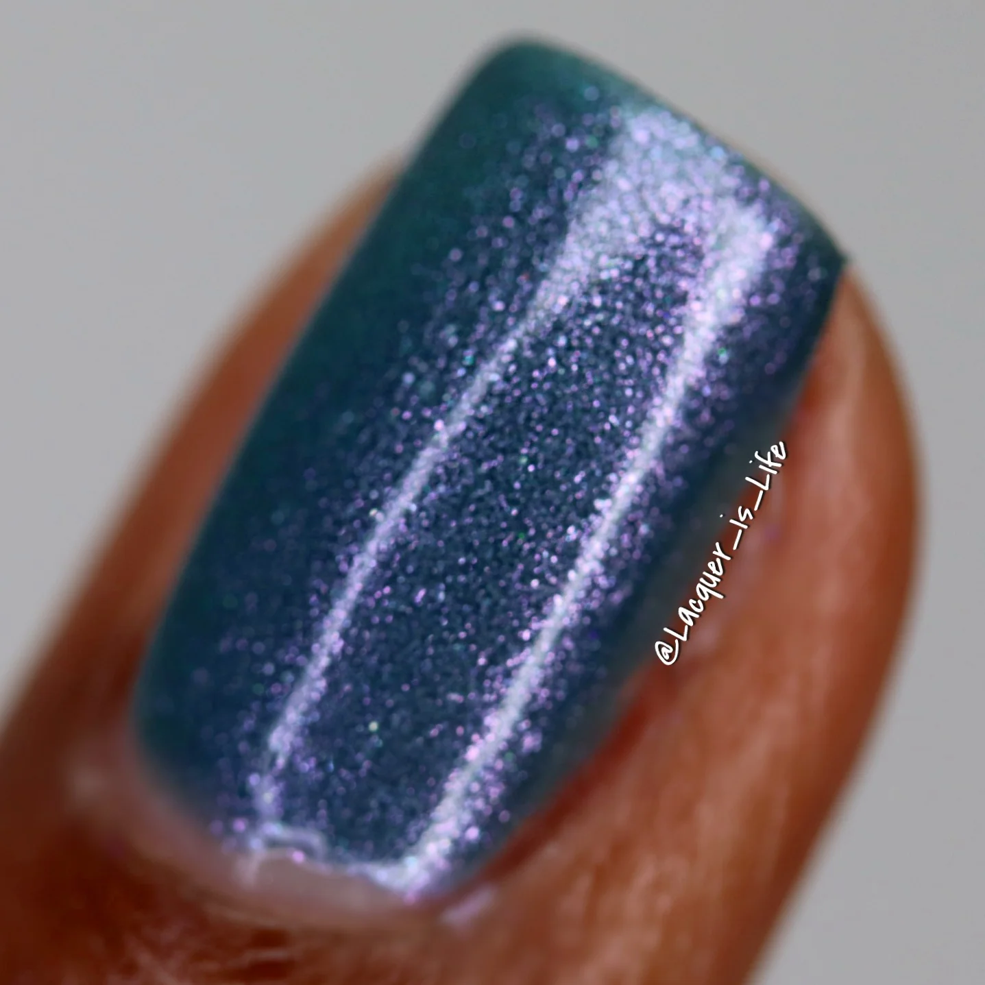 The Lovely Flowers - Image 33