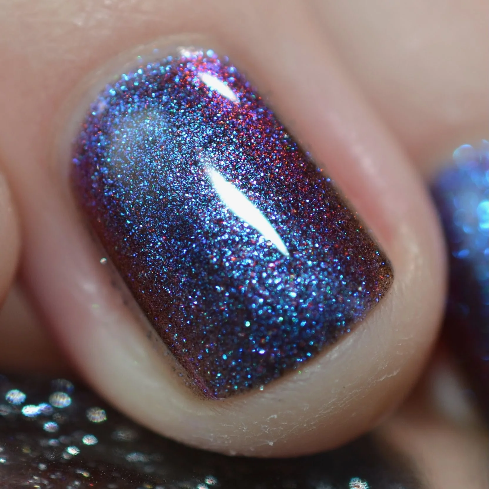 The Ocean Queen - Image 13