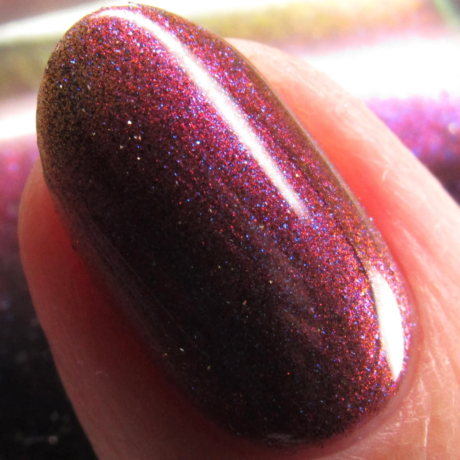 The Ocean Queen - Image 24