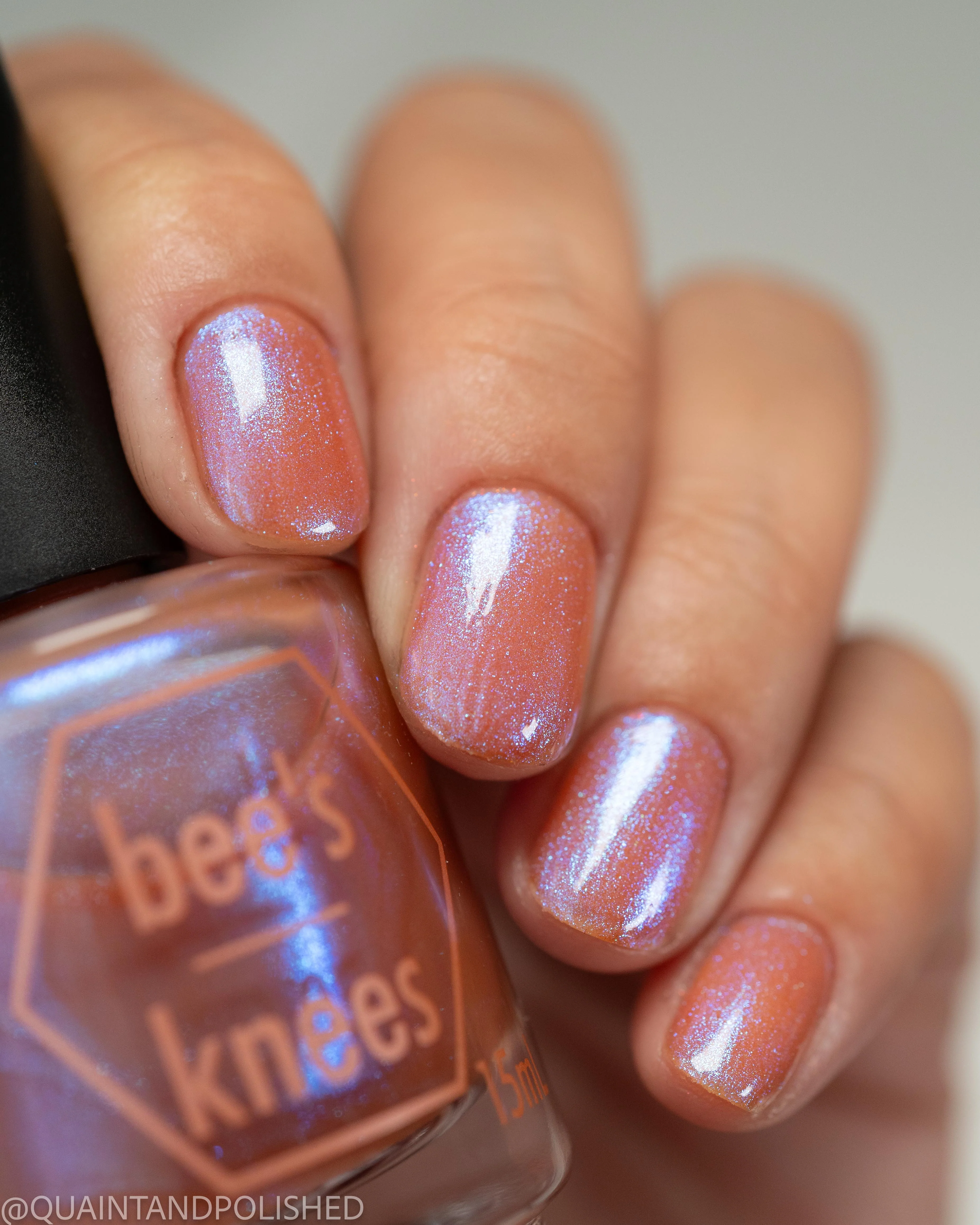 The Phoenix Reborn - Image 16