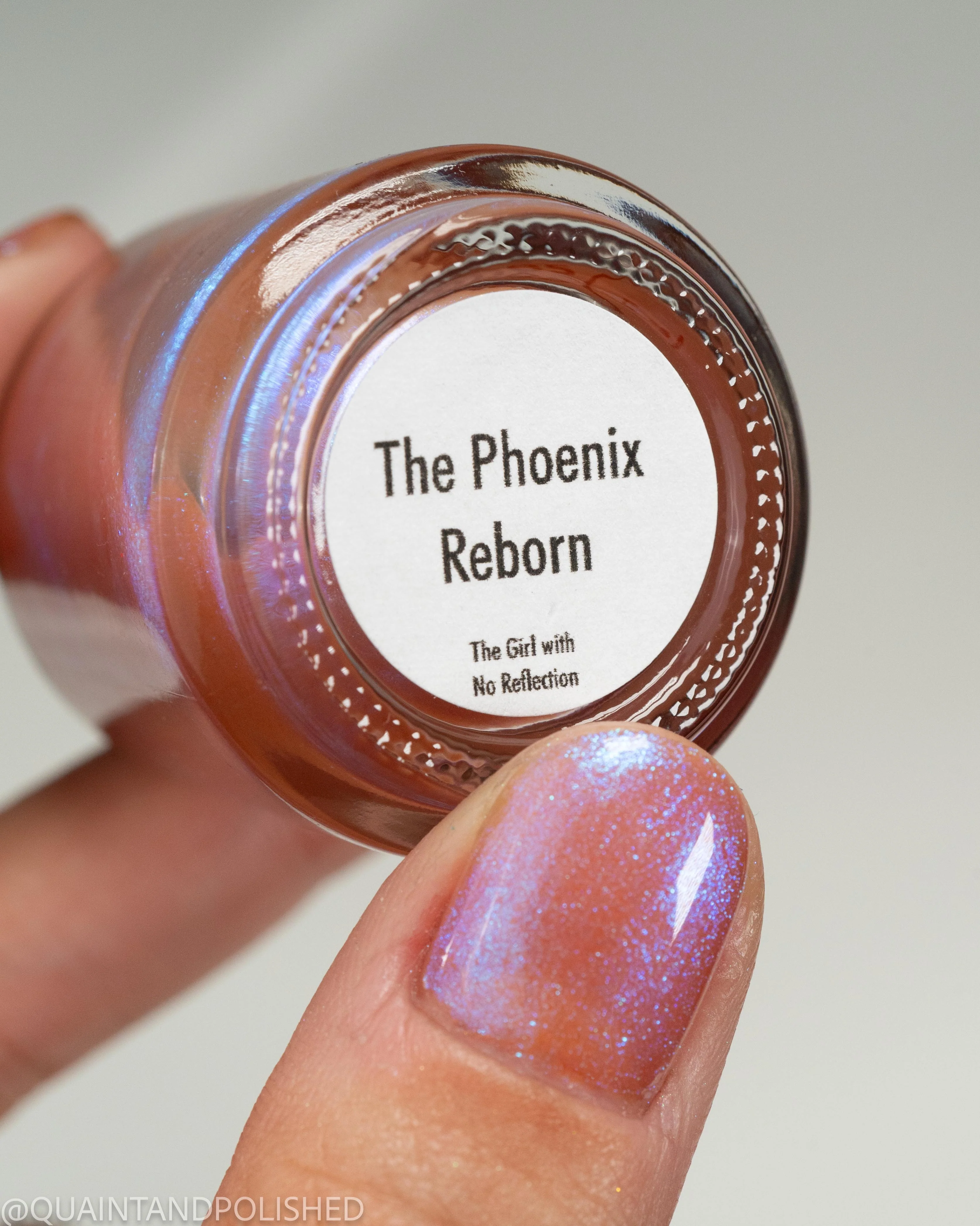 The Phoenix Reborn - Image 18