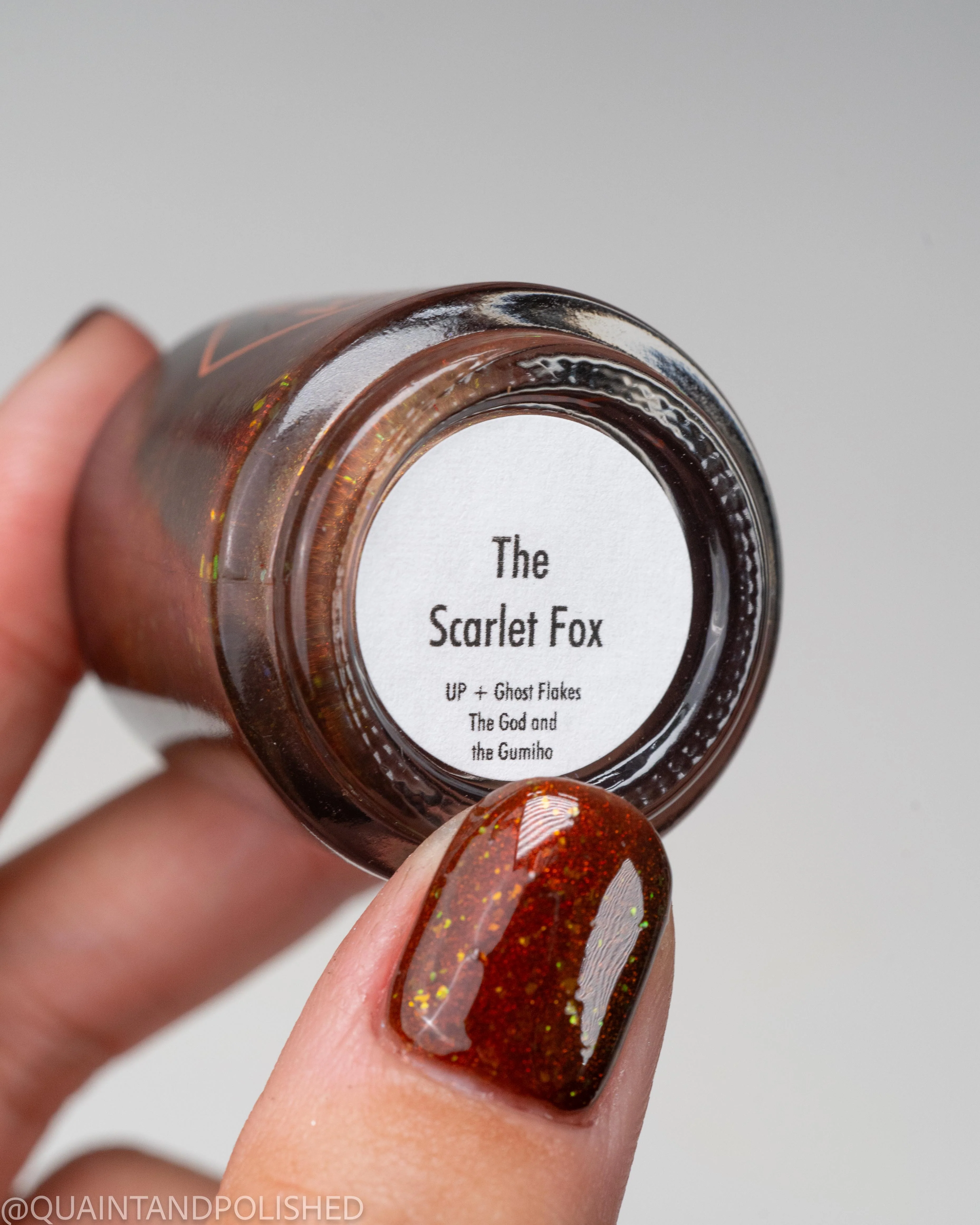 The Scarlet Fox - Image 22