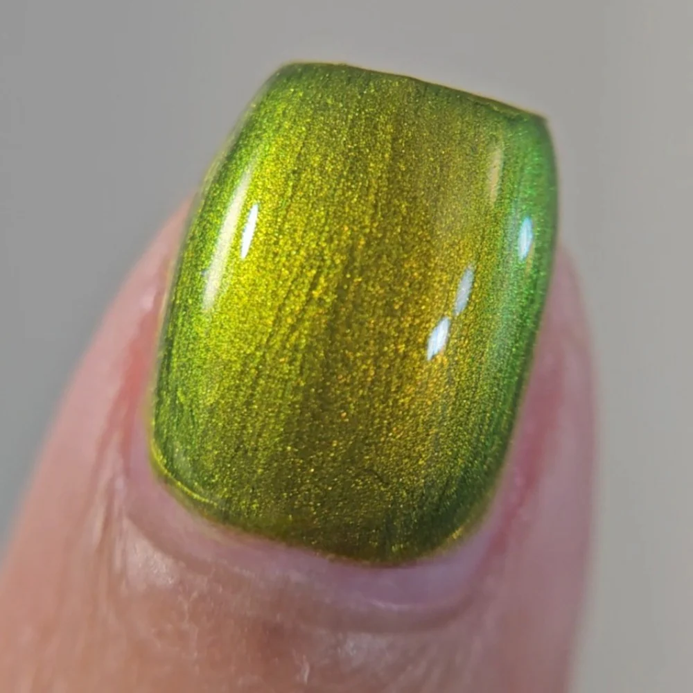 The Spirit of the Forest - Image 5