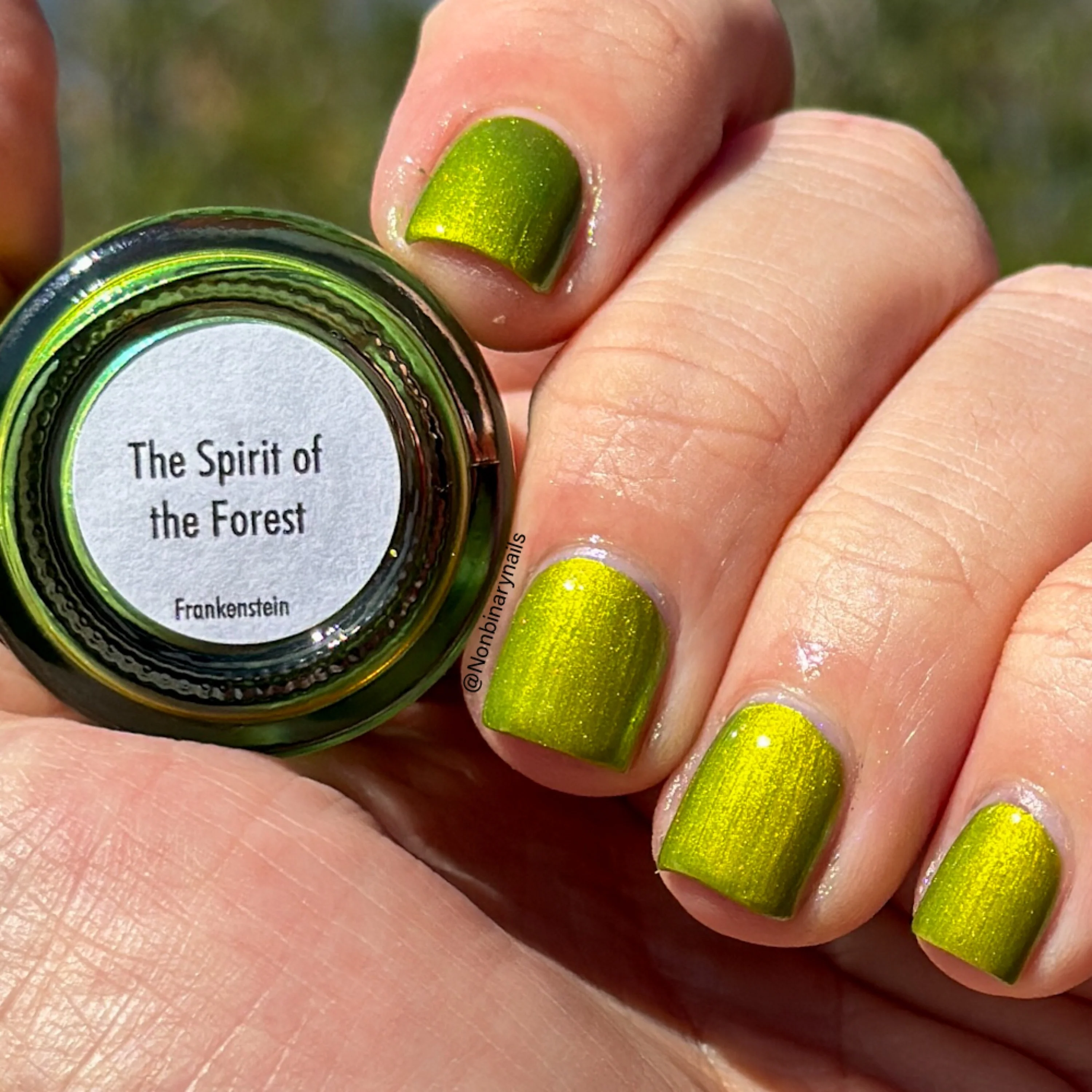 The Spirit of the Forest - Image 9